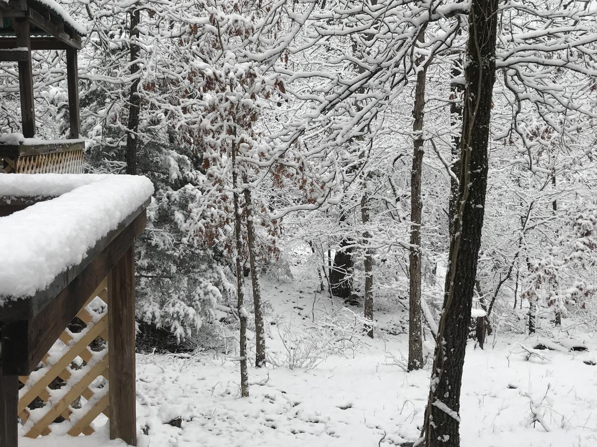 Norfork Lake Ozark Mountain Lodge Gamaliel Luaran gambar